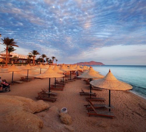 Maximizing Your Stay: Top 20 Activities for a Memorable Trip to Sharm el Sheikh