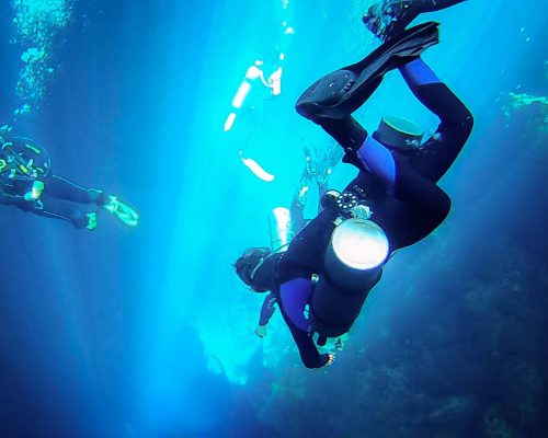 From Swimming to Scuba Diving: Experience the Beauty of Tulum’s Cenotes 2024