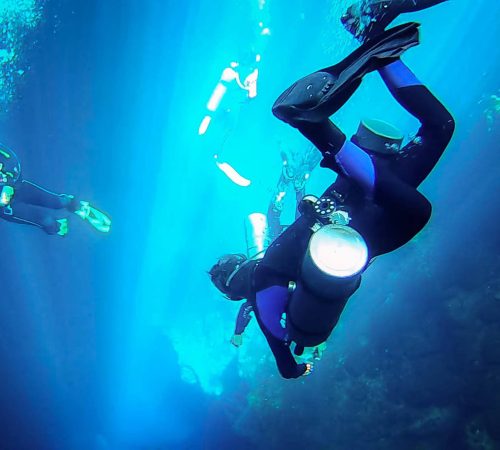 From Swimming to Scuba Diving: Experience the Beauty of Tulum’s Cenotes 2024