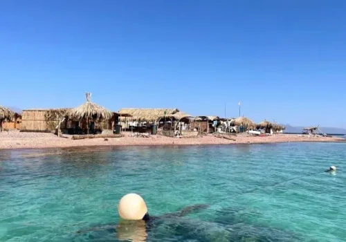 Dahab Dreams: Unraveling the Beauty of the Blue Lagoon & Abu Galoum