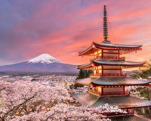 Exploring Japan: A Guide to the 22 Best Experiences for Fun Seekers