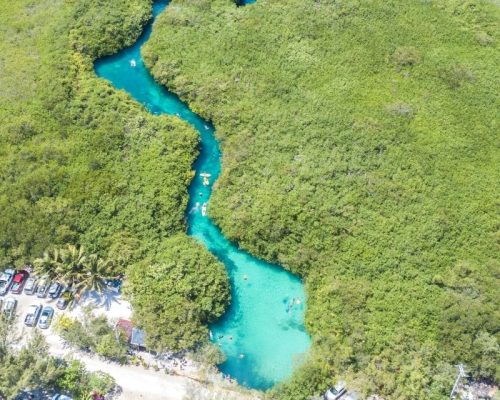 Discover the Magic of Casa Cenote: Tulum’s Most Stunning Cenote Experience 2024